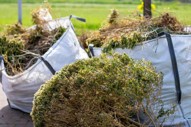 Yard Cleanup Services in Bono, AR